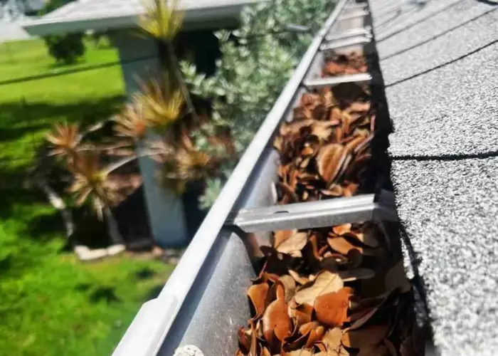 Bowie gutter cleaning home page